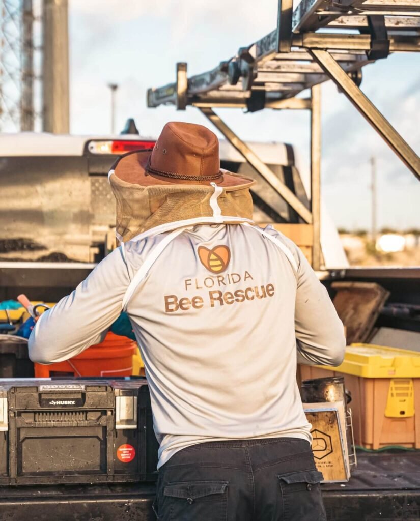 florida bee removal